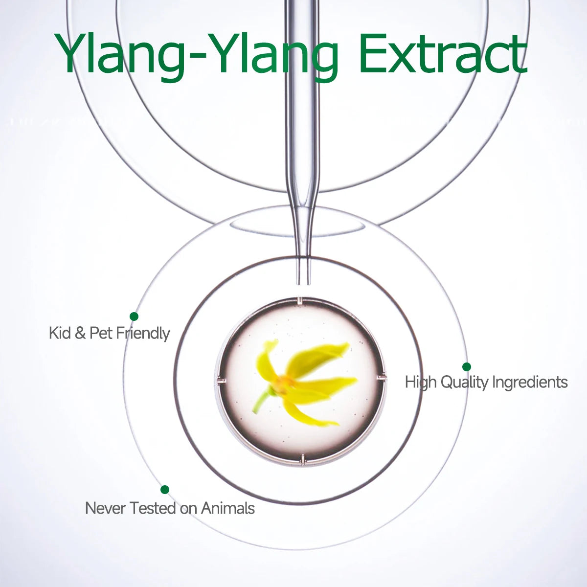 Ylang Ylang Essential Oil for Face & Body