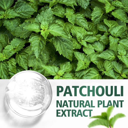 Patchouli Essential Oil for Face & Body